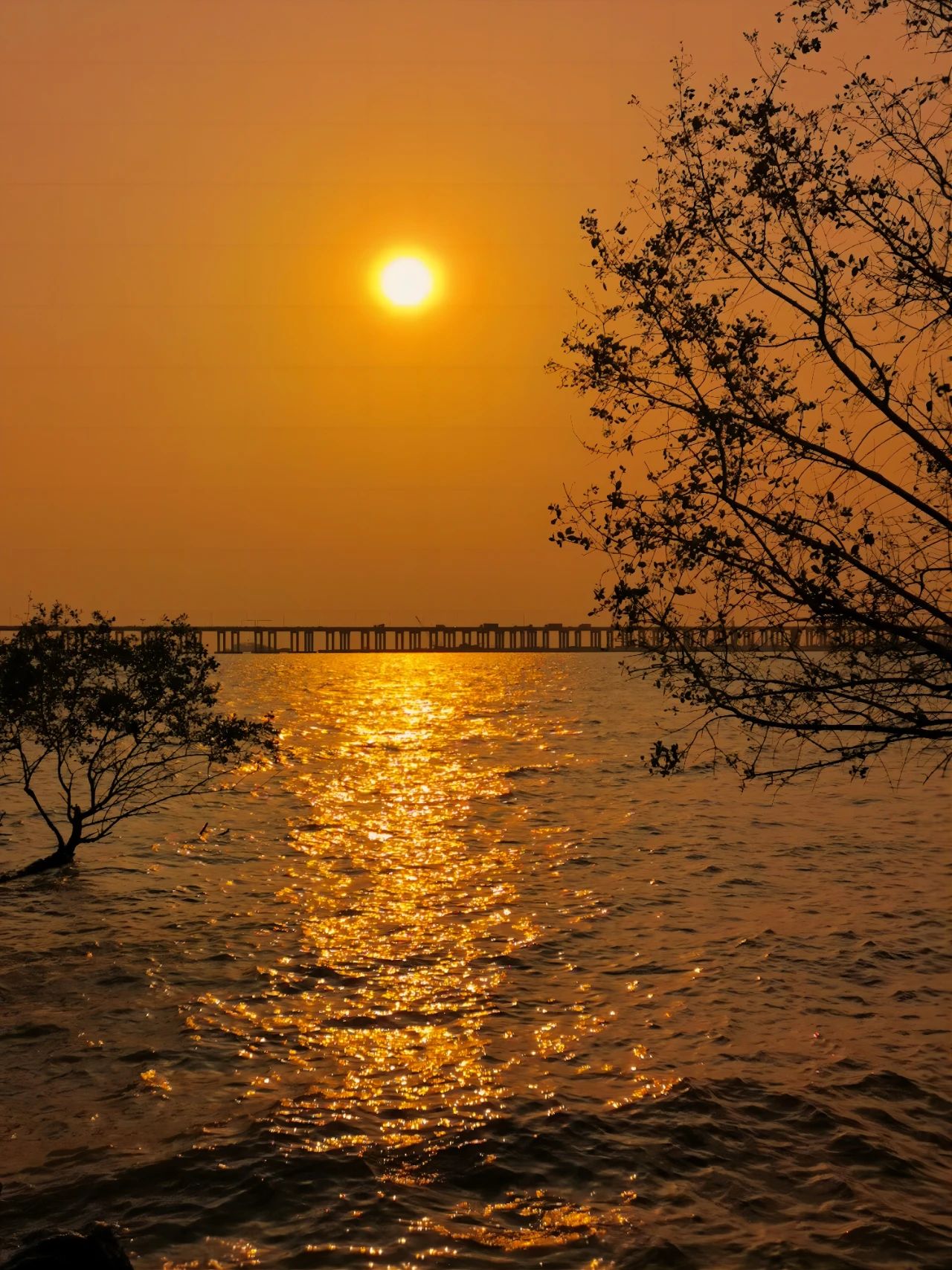 go to Xiban Mangrove to see the sunset on the sea.